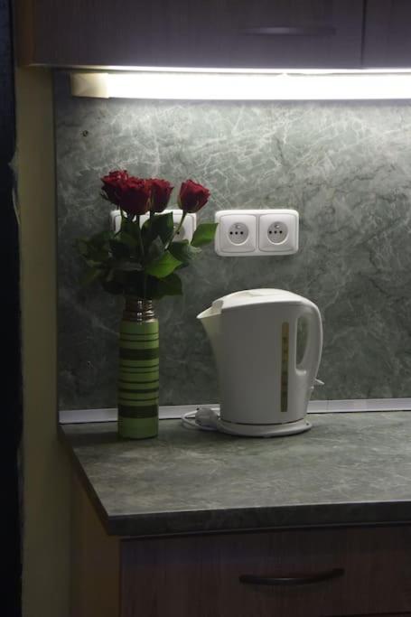 Cosy Warm Apartment In The Heart Of Prague. 외부 사진