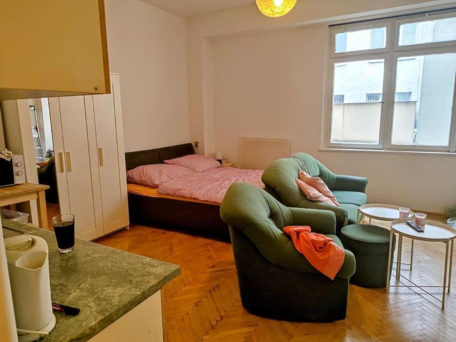 Cosy Warm Apartment In The Heart Of Prague. 외부 사진